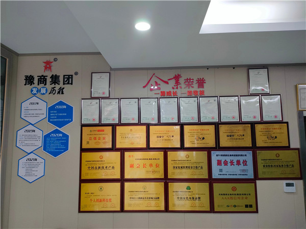 河南豫商集团全国分公司高层**会议