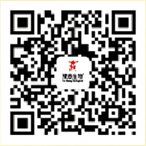 微信扫码